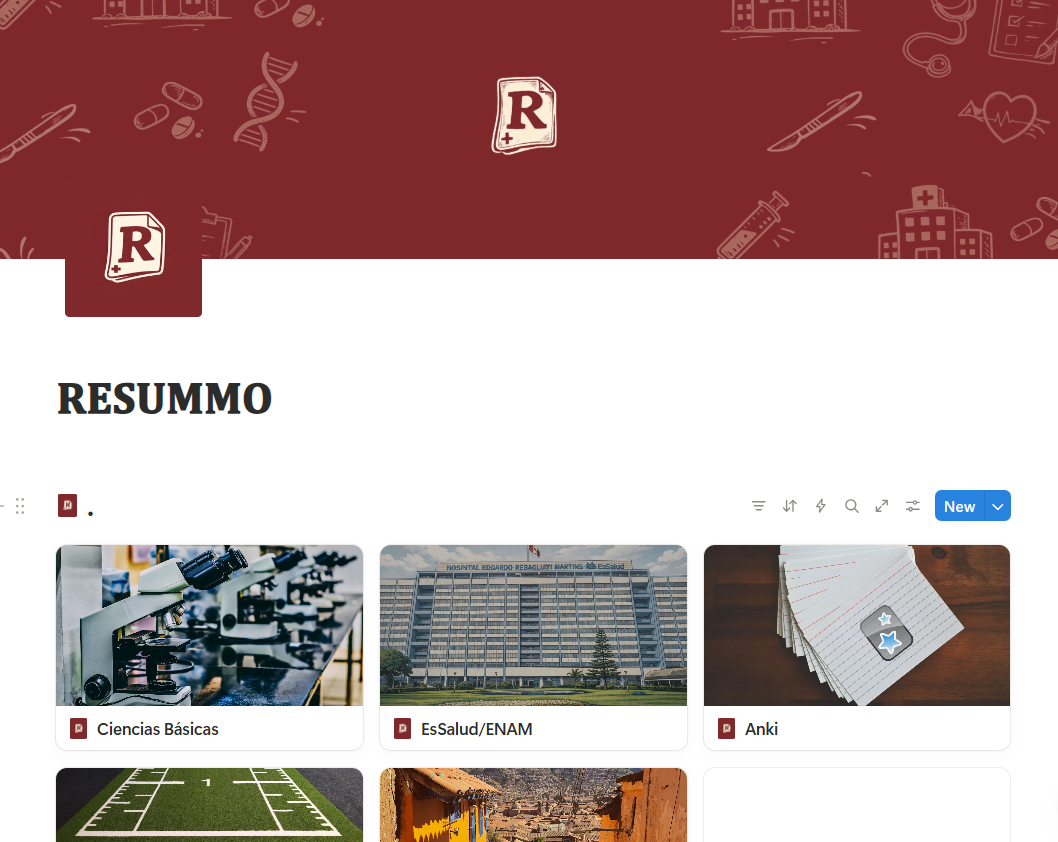 Vista previa de la plataforma Resummo en Notion